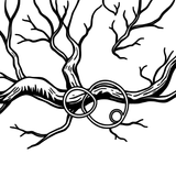 عائلة المجموعة