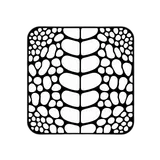 Design Aesthetic