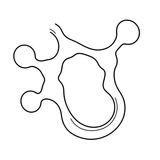 Detangling Ingredient