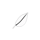 Developed By