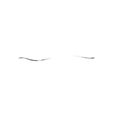 Elasticity