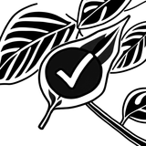 Environmental Certification