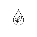 Environmental Impact