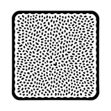 Exterior Texture