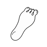 Footbed Features