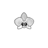 Fragrance Note