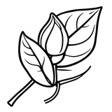 فلسفة المكونات
