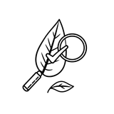 جودة المكونات