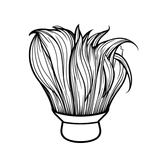 نوع الشعر المستهدف