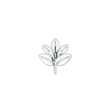 Leaf Shape