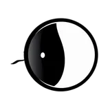 Lens Technology