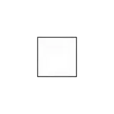 Main Color