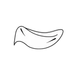 Main Fabric
