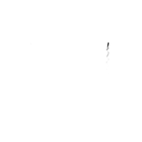 Material Feature