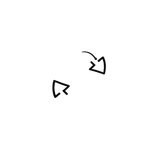 Model Version