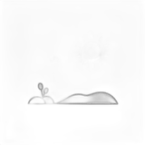 Motor Type