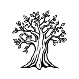 Overall Theme
