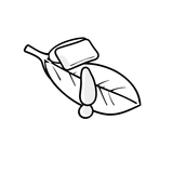 خصائص زبدة الفستق