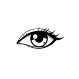 الوظائف الأساسية