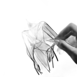 Primary Scent