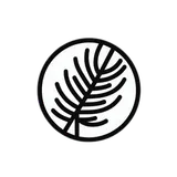 تأثير الإشراق