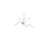 Recipient Theme