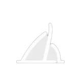 Ring Shape