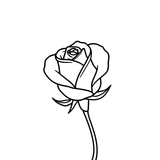 فئة الرائحة