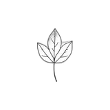 الاستدامة