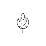 Sustainable Materials