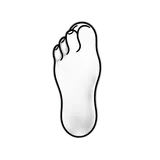 تصميم المقدمة